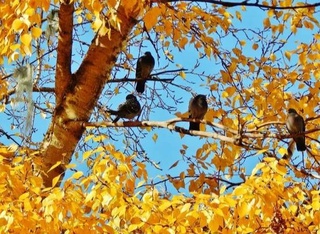 Прогноз погоды на 25 ноября