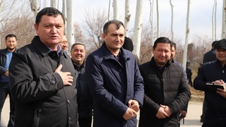 Бош вазир ўринбосари Қашқадарёга 47 минг дона кўчат билан борди