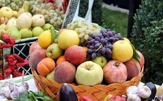 Узбекистан получил разрешение экспортировать в Китай 16 видов агропродукции