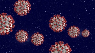 Ба штаммҳои нави коронавирус мехоҳанд номҳои бурҷҳоро диҳанд