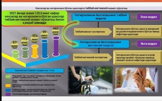 Nogironlik byurokratik to'siqlarsiz, qisqa muddatlarda belgilanadi