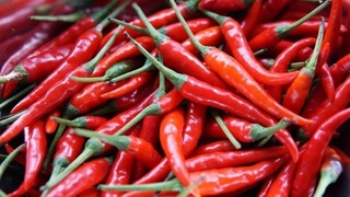 Қалампир экспорти камайган