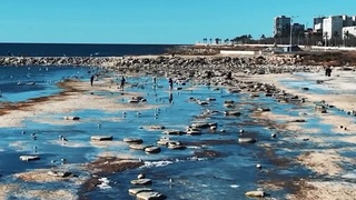 Каспий денгизи чекинмоқда: интернетда хавотирли видео пайдо бўлди