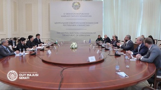 Председатель Сената Олий Мажлиса встретилась с делегацией Европейского парламента