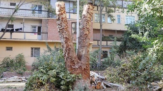 Защита природы - общая цель