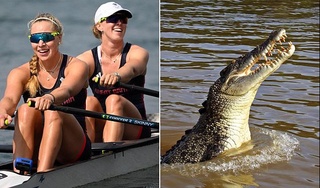 Эшкак эшиш мусобақалари тимсоҳлар яшайдиган дарёда ўтказилиши мумкин