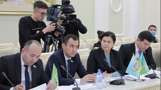 Перспективная модель статистической системы