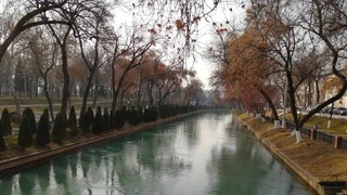 Weather forecast for February 8