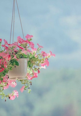 O‘zbekistonda bugundan havo harorati pasayishni boshlaydi