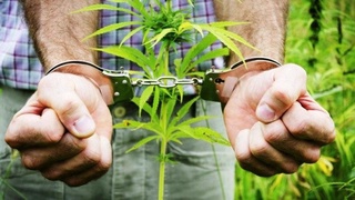 Бангихона ташкил қилган «шоввоз»нинг қилмиши жамоатчилик ўртасида муҳокама қилинди