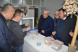 При содействии навоийских ученых в Хорезме создадут павловниевую плантацию