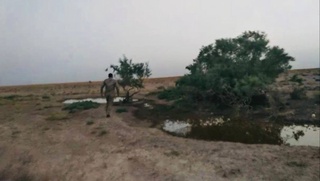 Buxoroda brakoner xizmat inspektoriga o'q uzdi