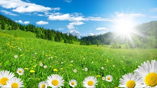 Прогноз погоды на 15 июля