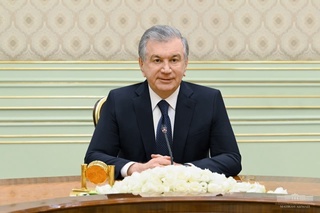 Shavkat Mirziyoyev meets with the Head of the OSCE/ODIHR Election Observation Mission