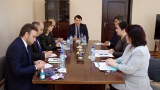 Омбудсман встретилась с египетскими международными наблюдателями