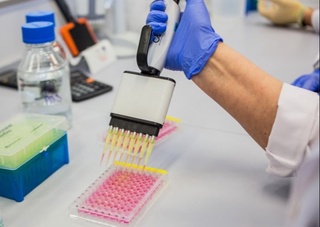 Европа ва АҚШда “омикрон”нинг хавфли мутациялари кенг тарқалмоқда 