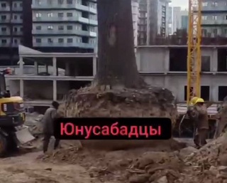 Назначена служебная проверка по деятельности Ташкентского городского управления экологии