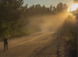 Ertaga baʼzi joylarda chang-toʻzon koʻtarilishi mumkin