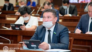 Одобрен Закон «О драгоценных металлах и драгоценных камнях»