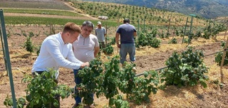 Мева ва сабзавоти органикӣ, ки дар Ӯзбекистон рӯёнда мешаванд, дар меҳвари коршиносони байналмилалӣ