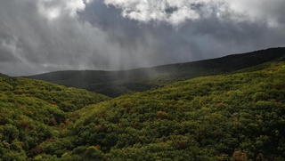 Эртага фақат тоғли ҳудудларда ёмғир ёғиши мумкин