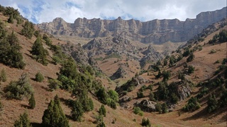 Өзбекстанда демалыс күндері ауа температурасы 37 градусқа дейін көтеріледі