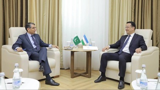 Promising directions for the development of trade and economic cooperation between Uzbekistan and Pakistan are considered