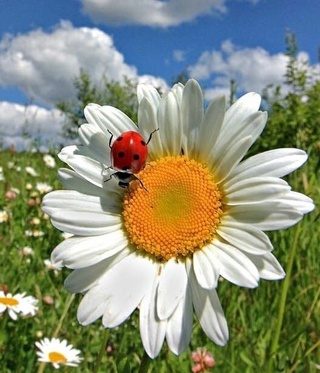 Демалыс күні елімізде ауа райы ашық болады