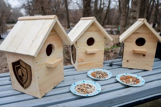 В Узбекистане 3 февраля пройдет акция «Помощь птицам зимой»