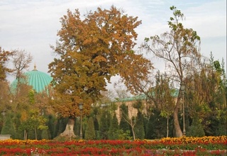 Прогноз погоды на 15 ноября