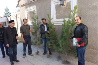 “Яшил макон” умуммиллий лойиҳаси амалда