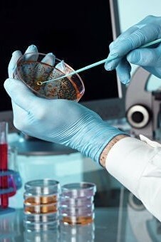 Dorilarga chidamli infeksiyalar yiliga 10 million kishining hayotiga zomin boʻlishi mumkin