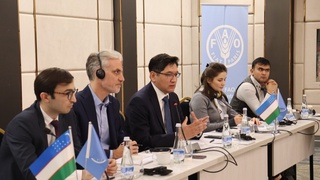 ФАО провела тренинги по «зеленому» финансированию в Узбекистане