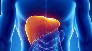 Гепатит текширувидан бепул ўтинг