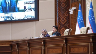 Сенат заслушал информацию о состоянии выполнения международных обязательств Узбекистана в области прав человека