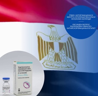 Ўзбек-хитой вакцинаси Мисрга сотилиши масаласи муҳокама қилинди