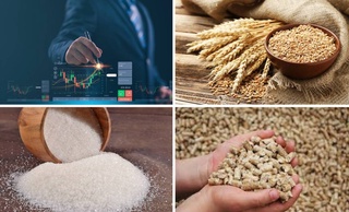 На Узбекской республиканской товарно-сырьевой бирже снизились цены на пшеницу, сахар и шрот