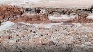 «Деҳқонобод калий заводи» 363 млн сўм компенсация тўлайдиган бўлди