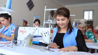 Президент Халқ қабулхонаси жойларда ишсиз хотин-қизлар бандлигини таъминламоқда