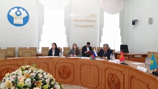 Эксперты обсудили подходы к развитию национальных ядерных инфраструктур в государствах - участниках СНГ