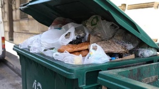 В Ташкенте ежедневно выбрасывается 3,5 тонны хлеба и продуктов питания