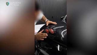 Avtomobil kapotida baliqlar bilan kontent olgan avtoblogerga chora koʻrildi