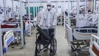 На фоне роста заболевания «черной плесенью» в Индии появилась «белая плесень»