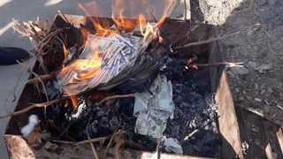 Сирдарёда қалбаки АҚШ доллари ушланди