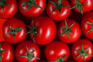 Узбекистан экспортировал больше всего помидоров в Россию