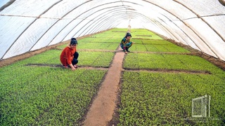 Определены ключевые параметры социально-экономического развития Ташлакского района