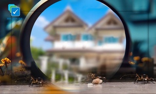 Уйингиз термитлар ёки бошқа ҳашаротлар туфайли яроқсиз ҳолга келиб қолдими?