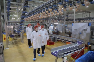 В Венгрии прошли переговоры с ведущим производителем мяса птицы: намечается совместный проект