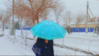 Orol boʻyida koʻp qor yogʻmoqda