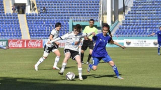 Случай в джизакской степи